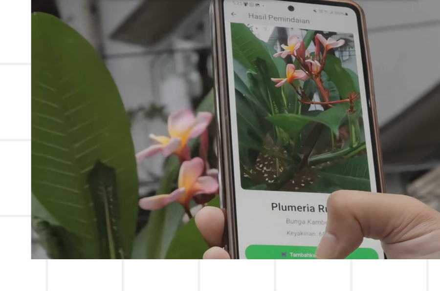 PANDAI real-time plant identification result