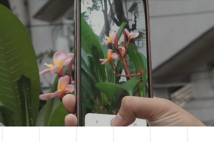 Scanning a real plant with the PANDAI camera